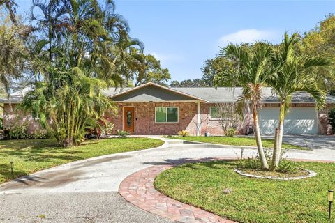 Photo of 2817 Fleeman Road, Palm Harbor, FL 34683 (MLS # TB8486854)