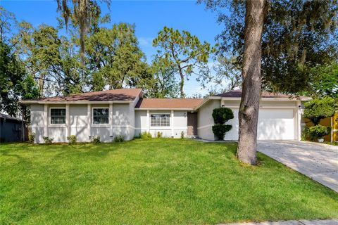 5293 STONE HARBOUR ROAD ORLANDO FL 32808