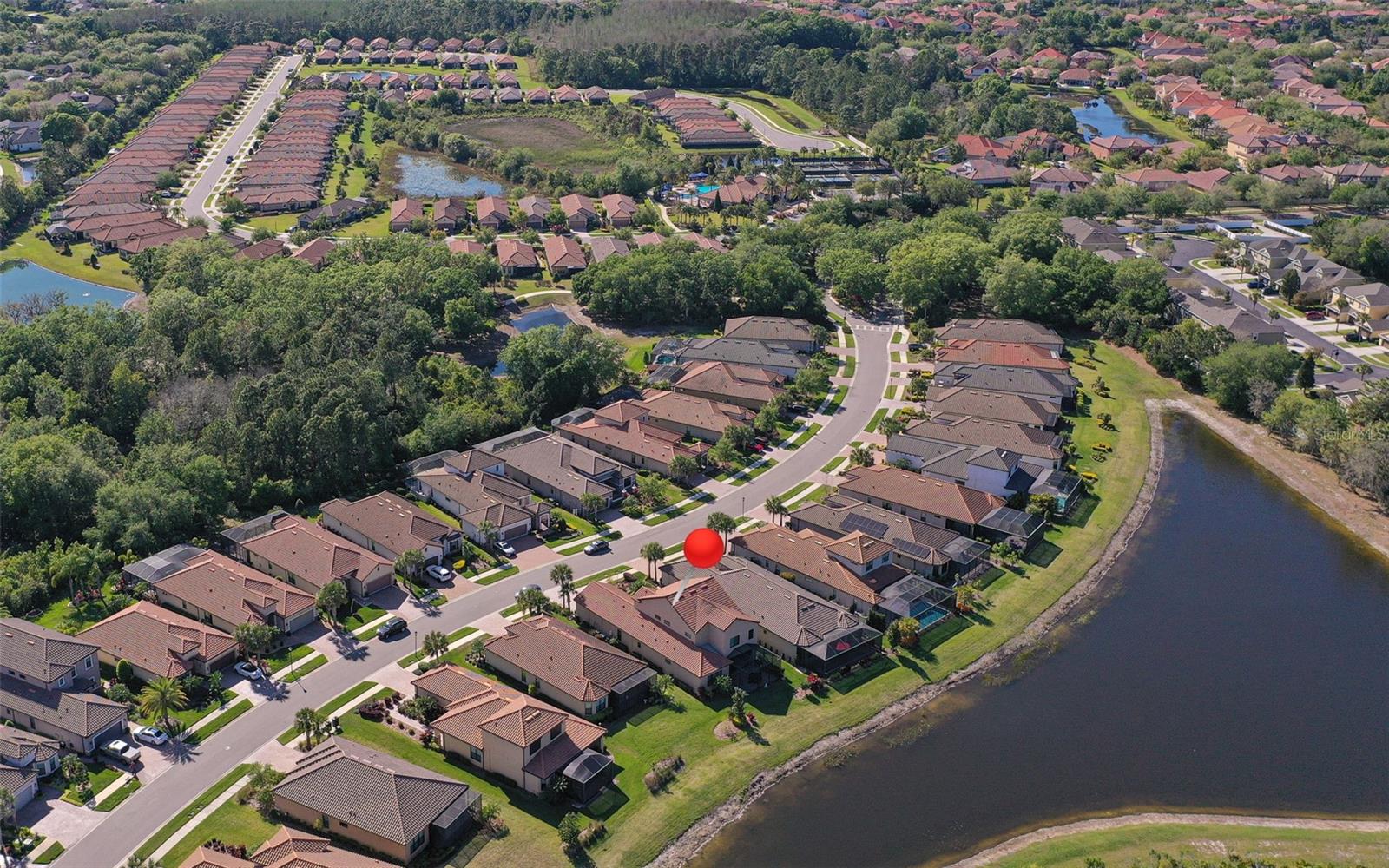 ESPLANADE OF TAMPA PH 1 - Residential