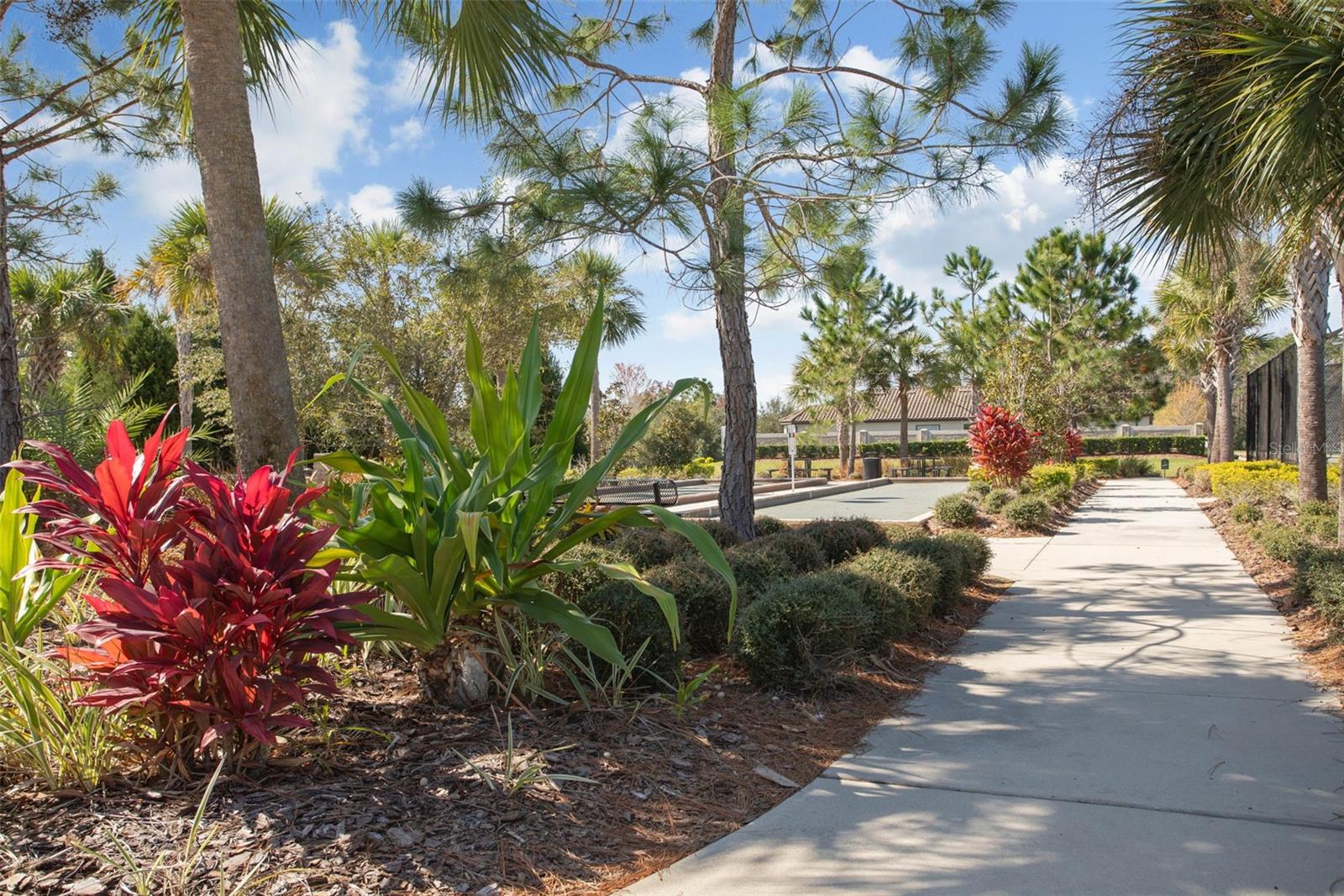 ESPLANADE OF TAMPA PH 1 - Residential