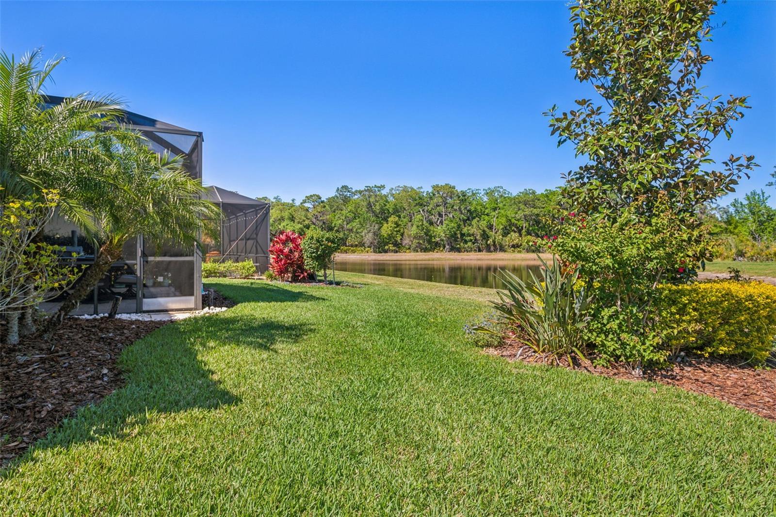 ESPLANADE OF TAMPA PH 1 - Residential