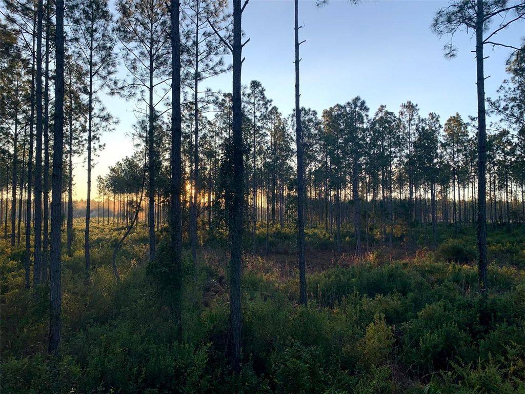 Photo of Clyatt Road, Chiefland, FL 32626 (MLS # TB8468369)