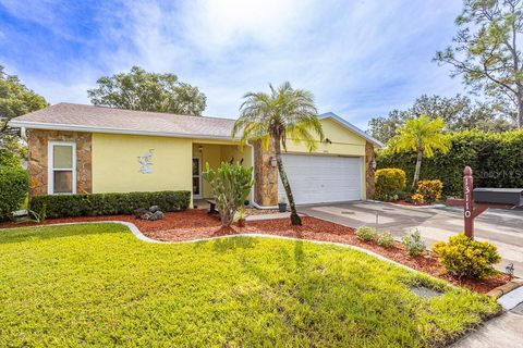 Photo of 13110 Elgar Place, Riverview, FL 33579 (MLS # TB8430753)