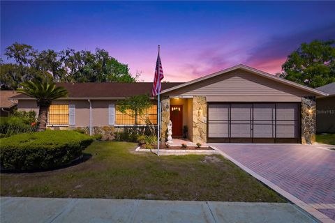 Photo of 7832 Mcpherson Drive, New Port Richey, FL 34653 (MLS # TB8498768)