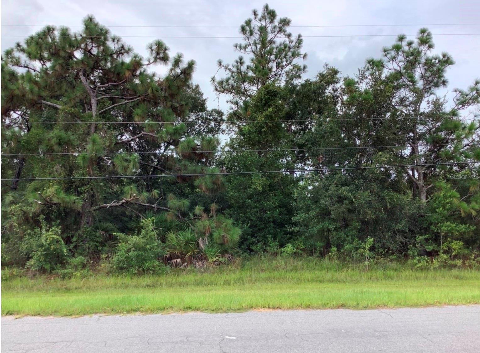 Build your dream home on this exceptional vacant lot in Wedgefield Cape Orlando Estates, one of East Orlando’s most sought-after communities! This expansive lot offers the perfect blend of privacy and natural beauty, nestled among custom-built homes and surrounded by serene Florida landscape. Enjoy the peace and space of country living with convenient access to major highways, the Orlando International Airport, Lake Nona Medical City, UCF, and the Space Coast beaches. Whether you’re looking to build now or invest for the future; this is an outstanding opportunity in a rapidly growing area. Don’t miss your chance to own a piece of paradise in Wedgefield!
