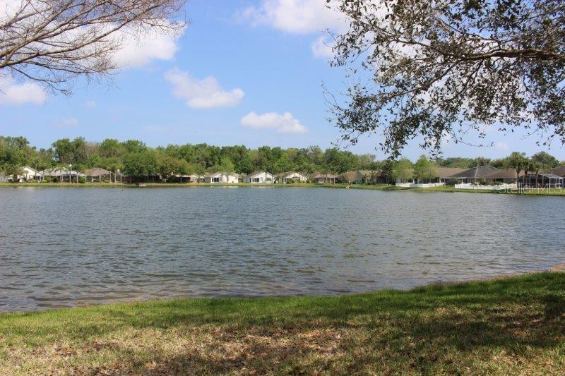 Coral Trace - Residential Lease