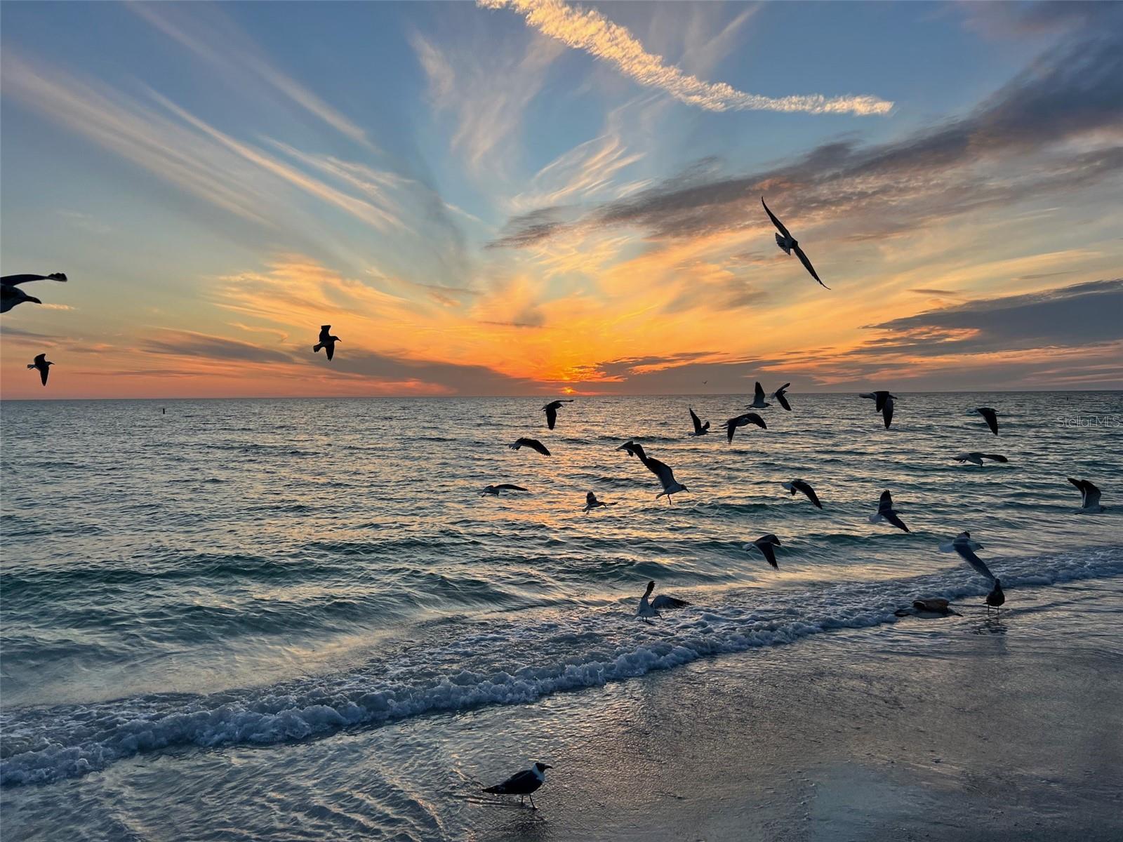 EMBASSY VILLAS - Residential