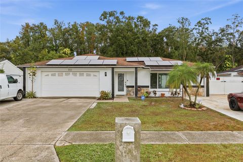5312 BLACK PINE DRIVE TAMPA FL 33624