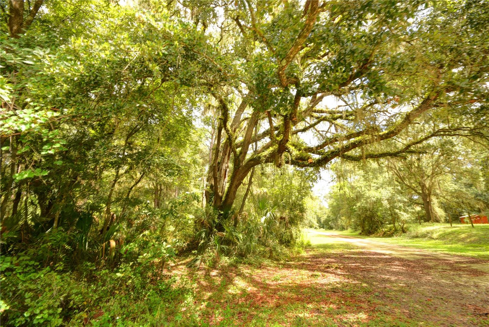 LAKE GARDENS CITRUS CO UNREC - Land