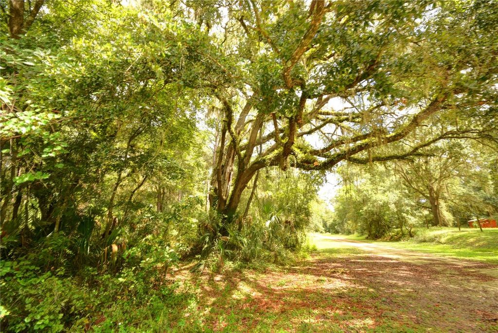 Photo of 2259 W Wildflower Court, Dunnellon, FL 34434 (MLS # OM709400)