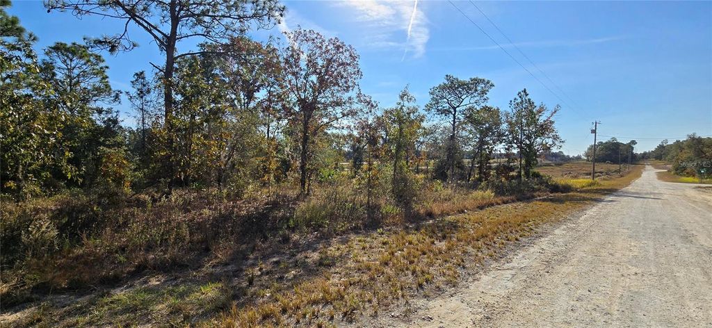 Photo of 16392 Curlew Road, Brooksville, FL 34614 (MLS # W7880917)