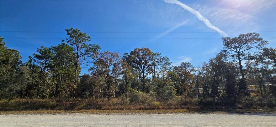 Amazing opportunity! Build your dream home on this .46-acre corner lot located on a cul-de-sac. Enjoy the freedom to design your home without extra restrictions of planned communities. Prime location that gives you immediate access to the entrance of the Suncoast Bike Trail featuring 41.3 miles of paved bike trail to Tampa! Have all the benefits of being only minutes from the heart of Spring Hill and Brooksville.  NO FLOOD, NO HOA and NO CDD. Lots of shopping and favorite local dining options nearby. Short drive to the famous Weeki Wachee live mermaids, Pine Island Park and Roger’s Park for fun on the water. Close to the Suncoast parkway for quick access to the airport, Tampa, Clearwater and St. Pete Beaches (Ranked in the top 5 Beaches in the US), also close to the famous Tarpon Springs Sponge Docks. Enjoy everything Tampa Bay has to offer from the new Downtown Riverwalk, TOP US BEACHES, boating, fishing, golfing, cultural entertainment, and museums...and of course beautiful year-round weather!