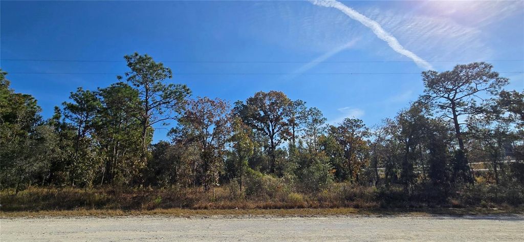 Photo of 16392 Curlew Road, Brooksville, FL 34614 (MLS # W7880917)