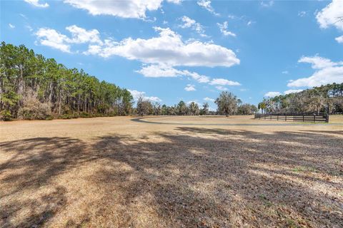 Tiny photo for 11760 NW 170th Street, Reddick, FL 32686 (MLS # OM719045)