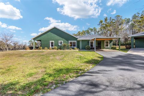 Tiny photo for 11760 NW 170th Street, Reddick, FL 32686 (MLS # OM719045)