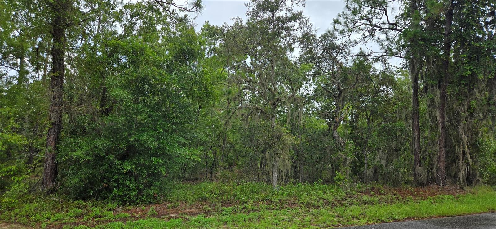 TIMBERLANE ESTATES - Land