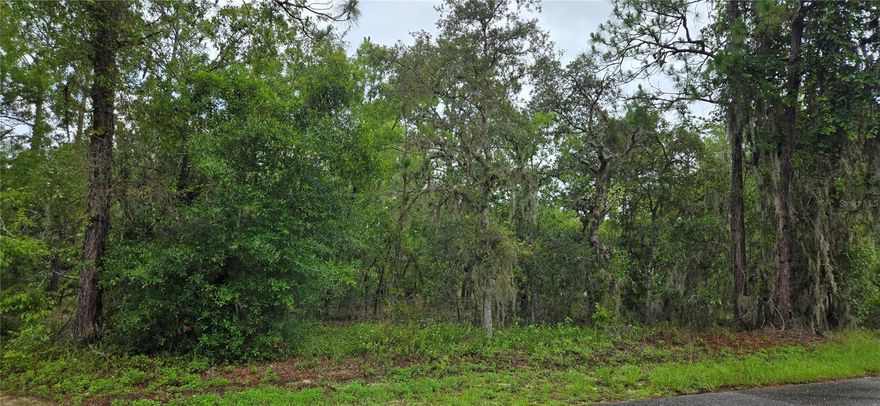 Nestled in the heart of the highly sought-after Timberlane Estate, this remarkable 1.16 acre corner lot presents an unparalleled opportunity to craft the home you have always envisioned. Whether you aspire to build a contemporary retreat or a stately traditional residence, the generous parcel provides a canvas limited only by your imagination. NO HOA AND NO FLOOD INSURANCE REQUIRED. It is conveniently located a few miles from the famous Crystal River, home of the world-renowned Manatee Migration and scallop season. Citrus County is known for its crystal-clear springs and rivers. The Rainbow River, Three Sister Springs and the Homosassa River are all well known for swimming, kayaking, boating and some of the best fishing in Florida. Conveniently located near new retail shops, restaurants, and grocery stores. Close to the Suncoast parkway for quick access to the airport, Tampa, Clearwater and St. Pete Beaches (Ranked in the top 5 Beaches in the US), also close to the famous Tarpon Springs Sponge Docks. Enjoy everything Tampa Bay has to offer from the new Downtown Riverwalk, TOP US BEACHES, boating, fishing, golfing, cultural entertainment, and museums...and of course beautiful year-round weather!