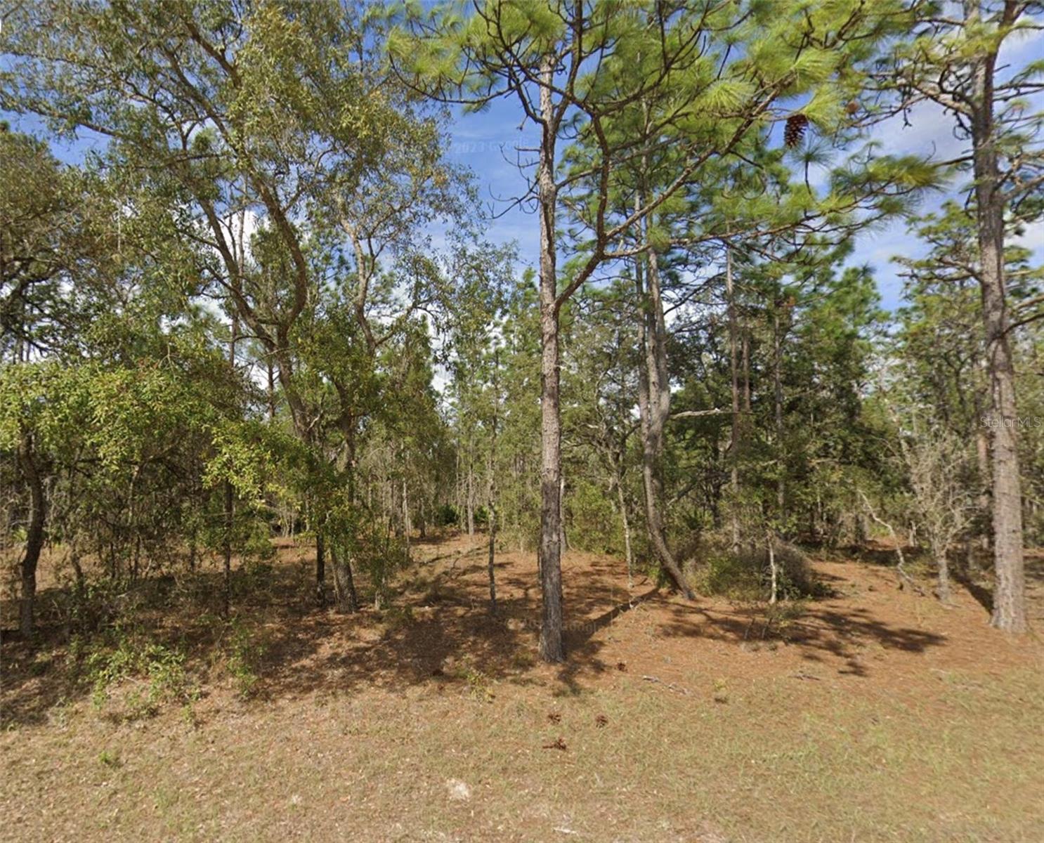 Discover the perfect blend of privacy and convenience with this beautiful 1.10-acre wooded lot located in the desirable Rolling Hills neighborhood of Dunnellon, Florida. Nestled among mature trees and natural Florida landscape, this spacious parcel offers an ideal setting for your custom home, whether you're looking for a quiet retreat or a place to grow with your family. With no HOA, you'll enjoy the freedom to bring your builder and design the lifestyle you've always wanted. The Rolling Hills community offers a peaceful, rural atmosphere while remaining close to shopping, dining, medical services, and the scenic Rainbow River. Property Highlights: 1.10-acre wooded lot with plenty of privacy, located in the quiet Rolling Hills subdivision, no HOA fees, Easy access to SR-40, SR-200, and US-41, Minutes from Rainbow Springs State Park and downtown Dunnellon. Whether you're planning to build now or invest for the future, this property provides endless potential. Don't miss this opportunity to own a piece of Florida paradise!