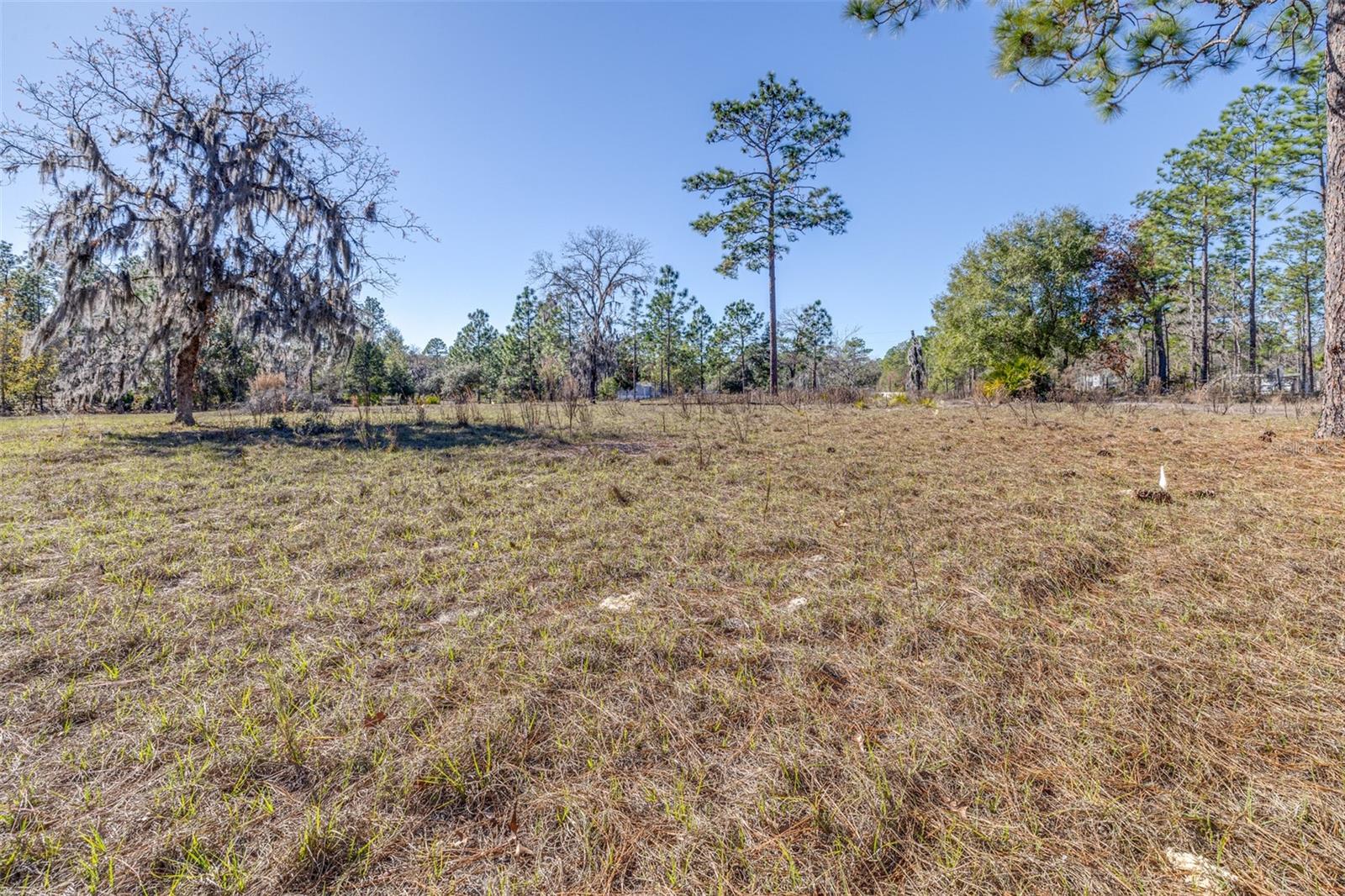 MINI FARMS UNIT 13 UNREC - Land