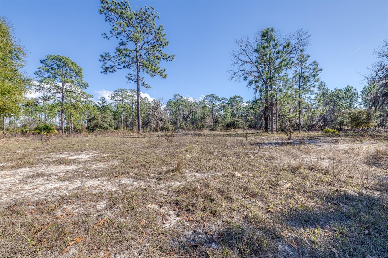 MINI FARMS UNIT 13 UNREC - Land