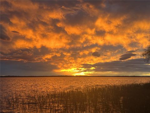 Tiny photo for 30215 Redtree Drive, Leesburg, FL 34748 (MLS # S5136187)