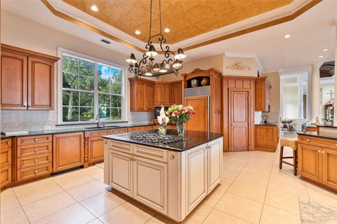 Tiny photo for 30215 Redtree Drive, Leesburg, FL 34748 (MLS # S5136187)