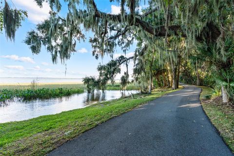 Tiny photo for 30215 Redtree Drive, Leesburg, FL 34748 (MLS # S5136187)