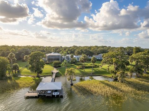 Tiny photo for 30215 Redtree Drive, Leesburg, FL 34748 (MLS # S5136187)