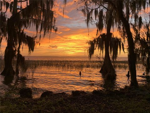 Tiny photo for 30215 Redtree Drive, Leesburg, FL 34748 (MLS # S5136187)