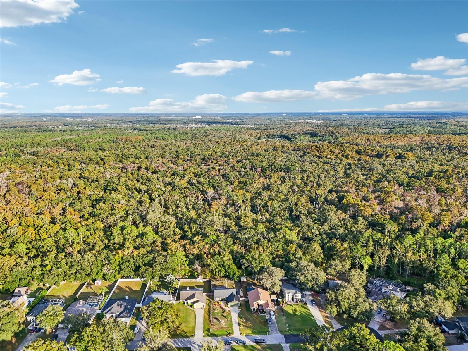 LAKE PADGETT PINES - Residential