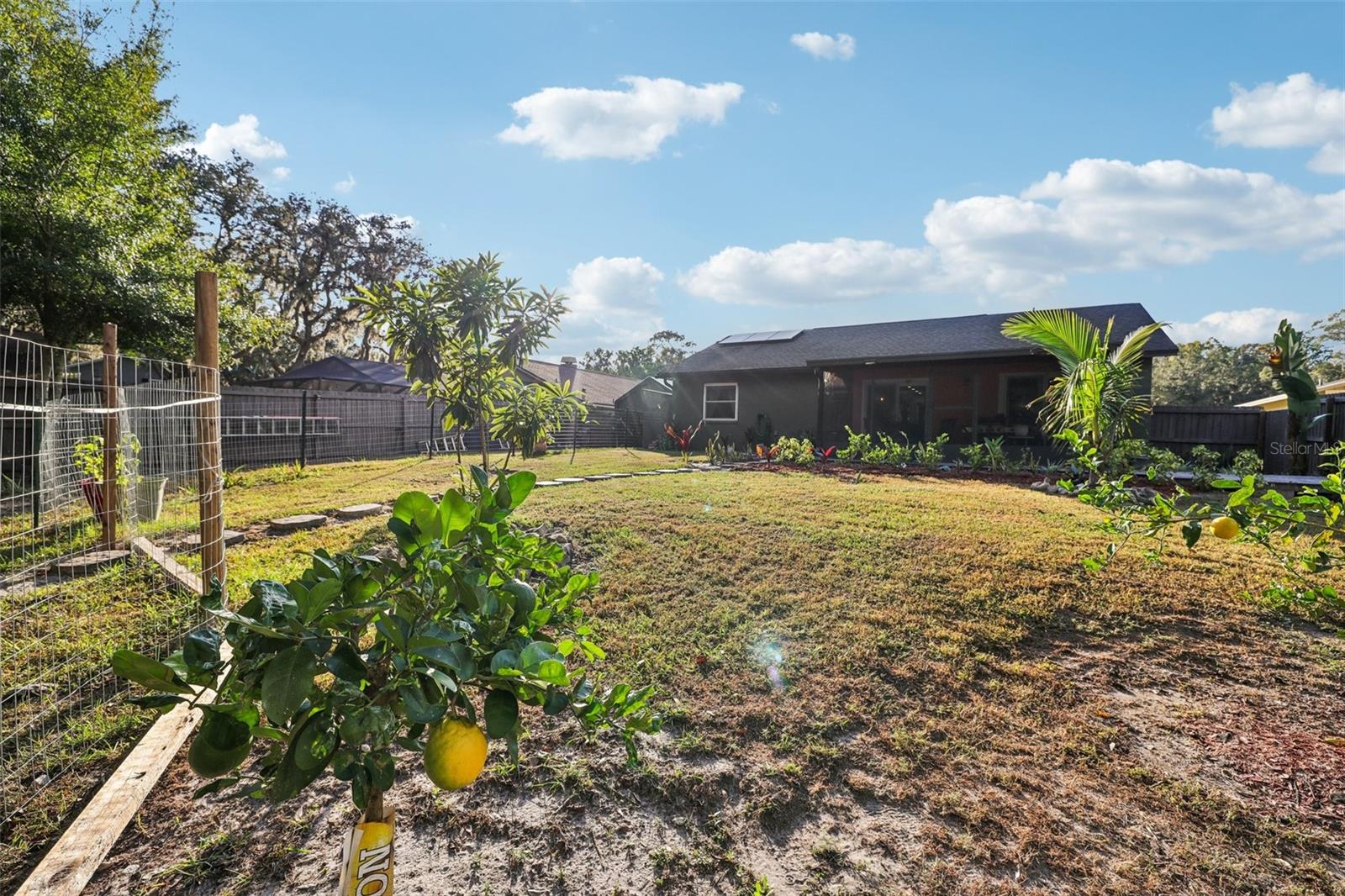 LAKE PADGETT PINES - Residential
