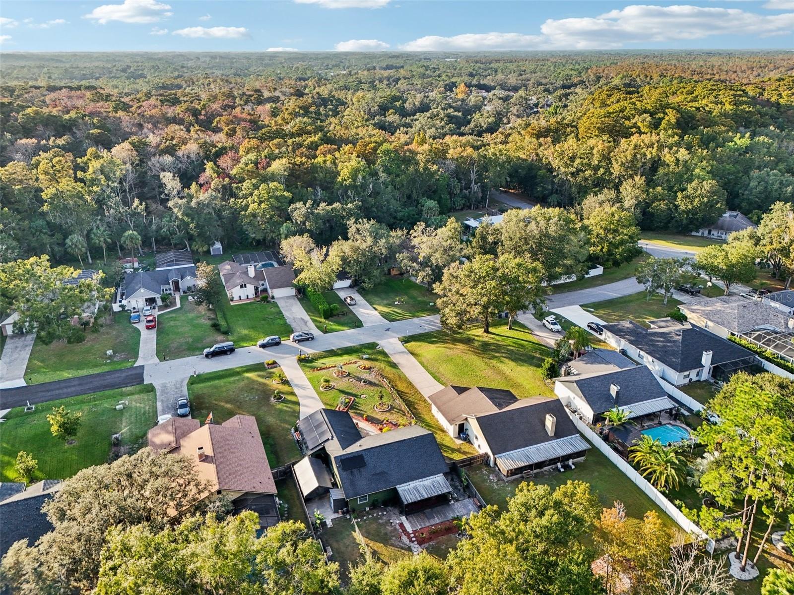 LAKE PADGETT PINES - Residential