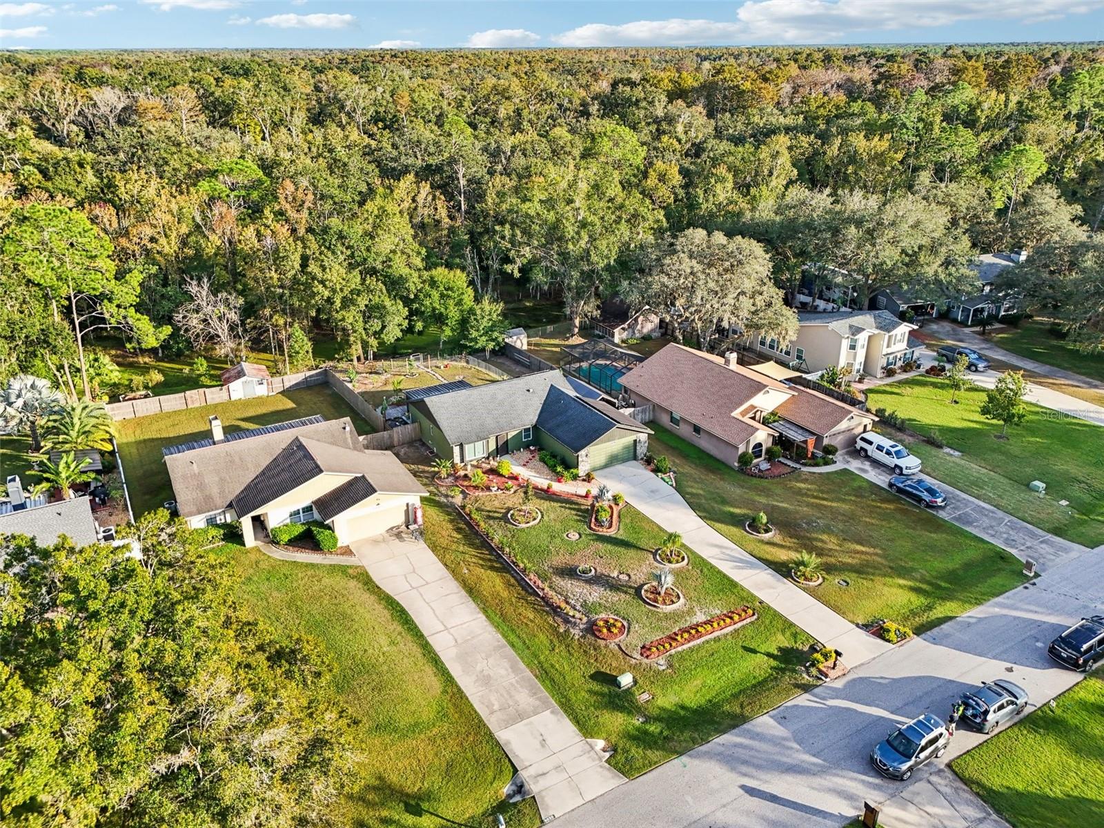 LAKE PADGETT PINES - Residential
