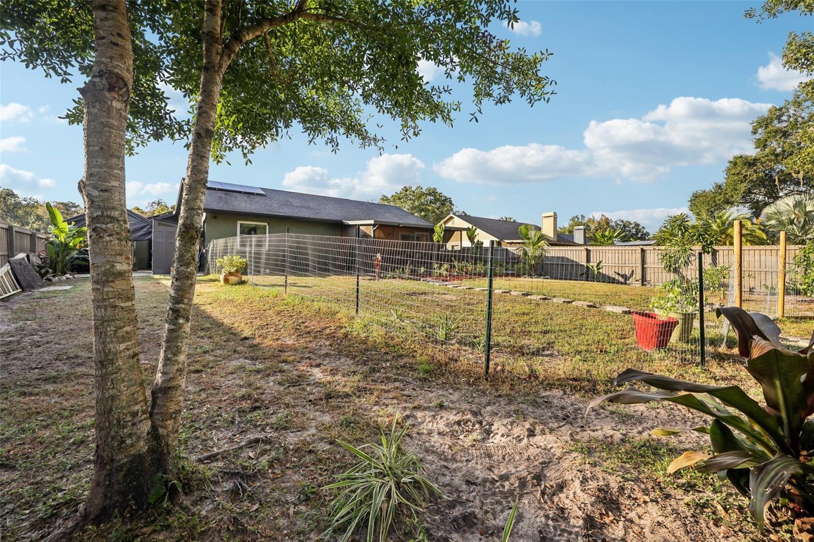 LAKE PADGETT PINES - Residential