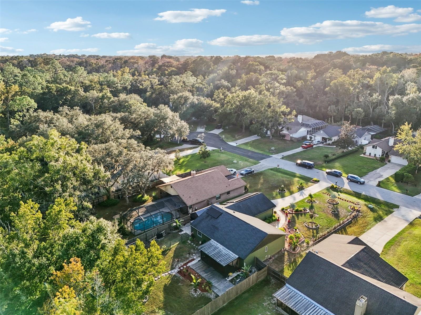 LAKE PADGETT PINES - Residential