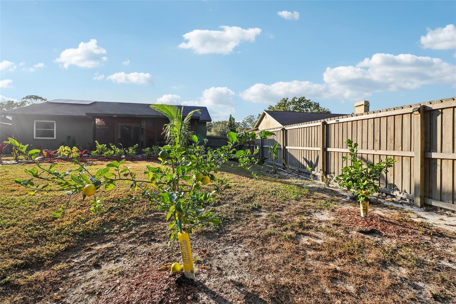 LAKE PADGETT PINES - Residential