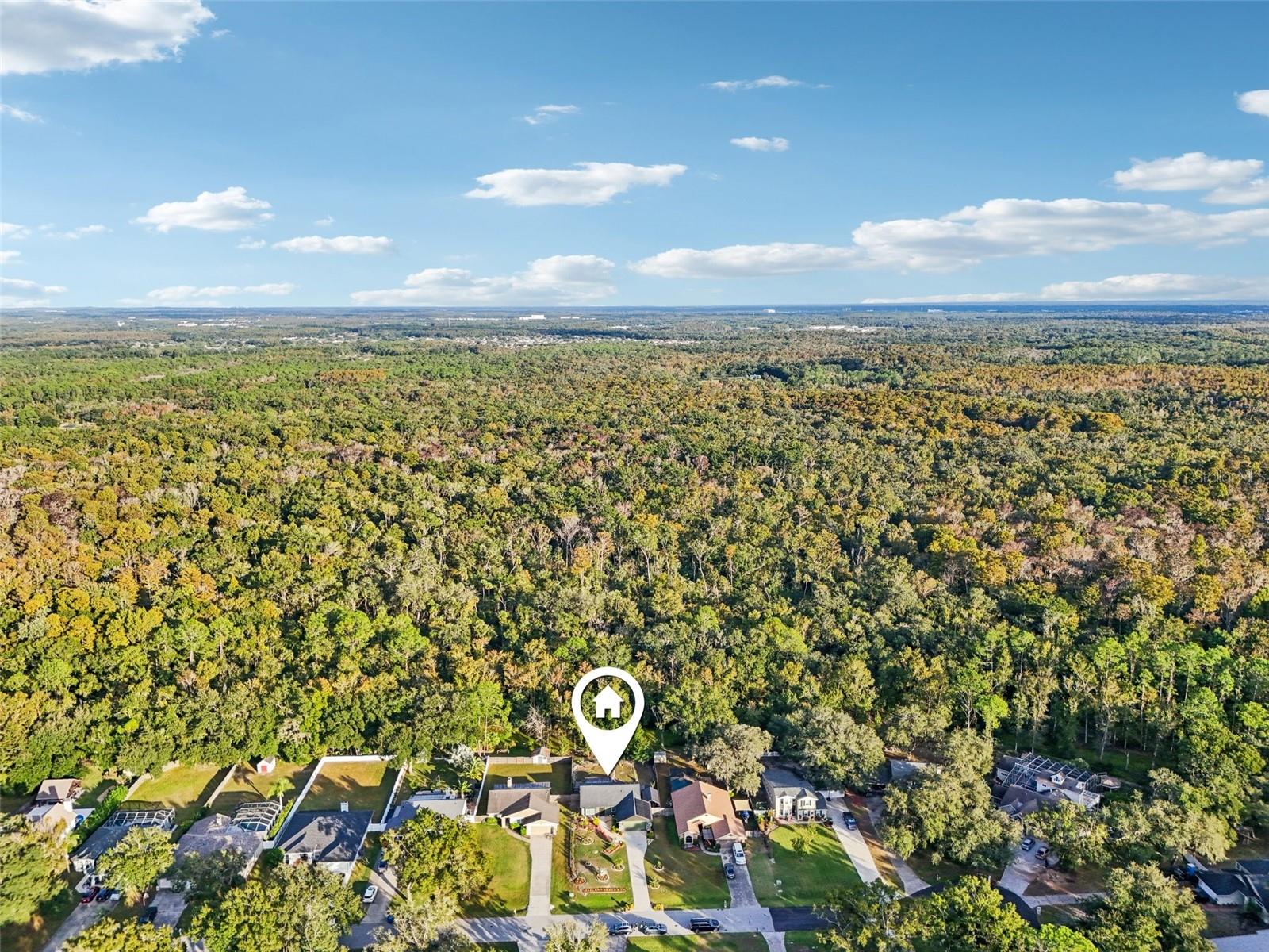 LAKE PADGETT PINES - Residential