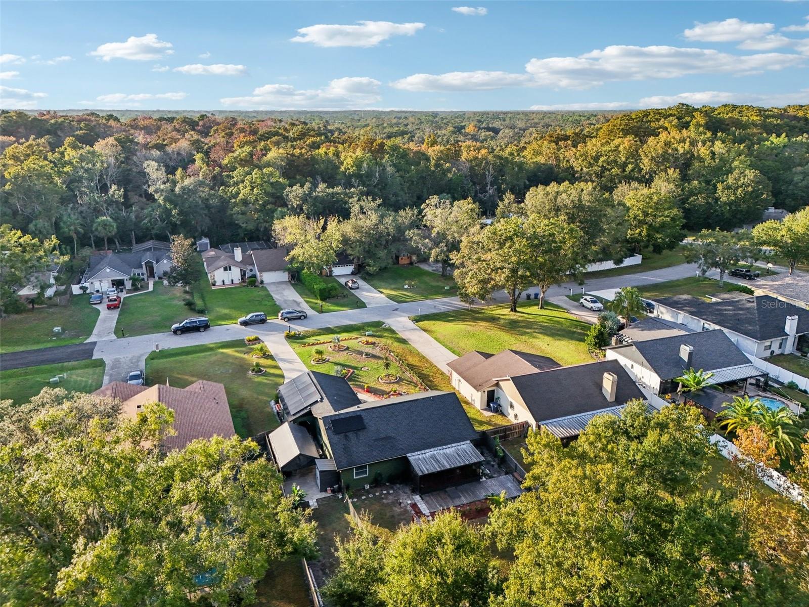 LAKE PADGETT PINES - Residential