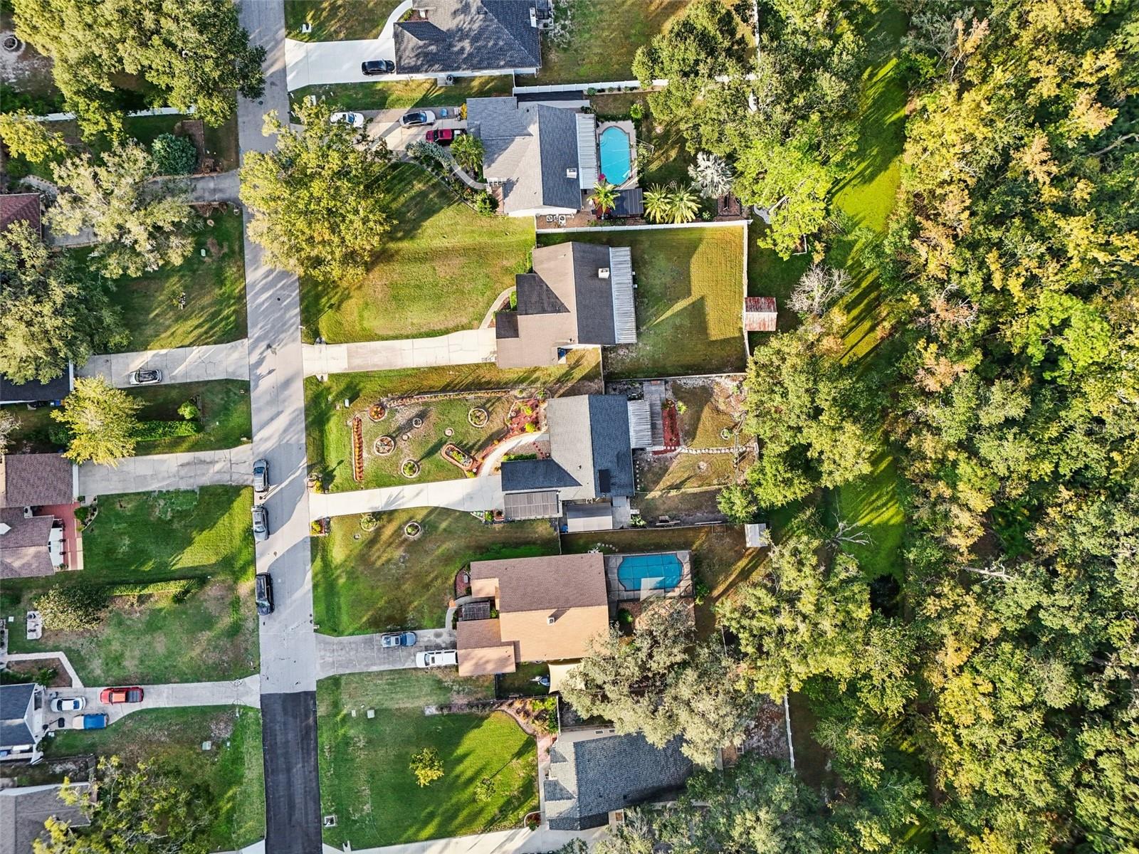 LAKE PADGETT PINES - Residential