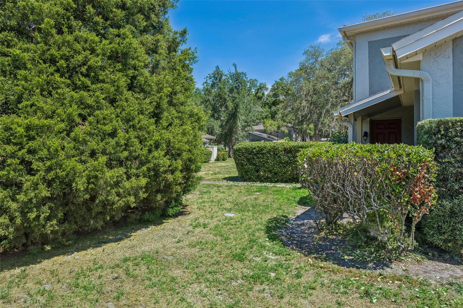 RAINTREE MANOR HOMES CONDOMINI - Residential