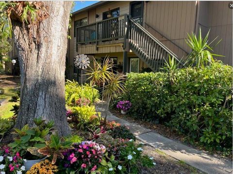 Photo of 1701 Pelican Cove Road #359, Sarasota, FL 34231 (MLS # A4676910)