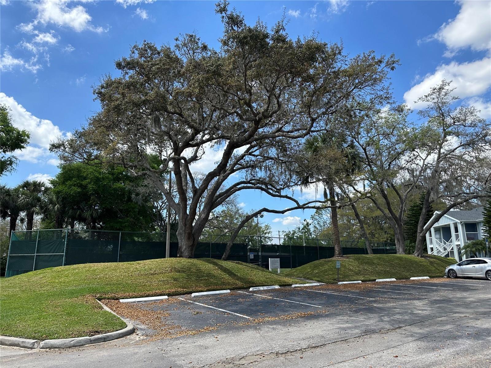 REGENCY PARK AT LAKE MARY A CONDO - Residential Lease