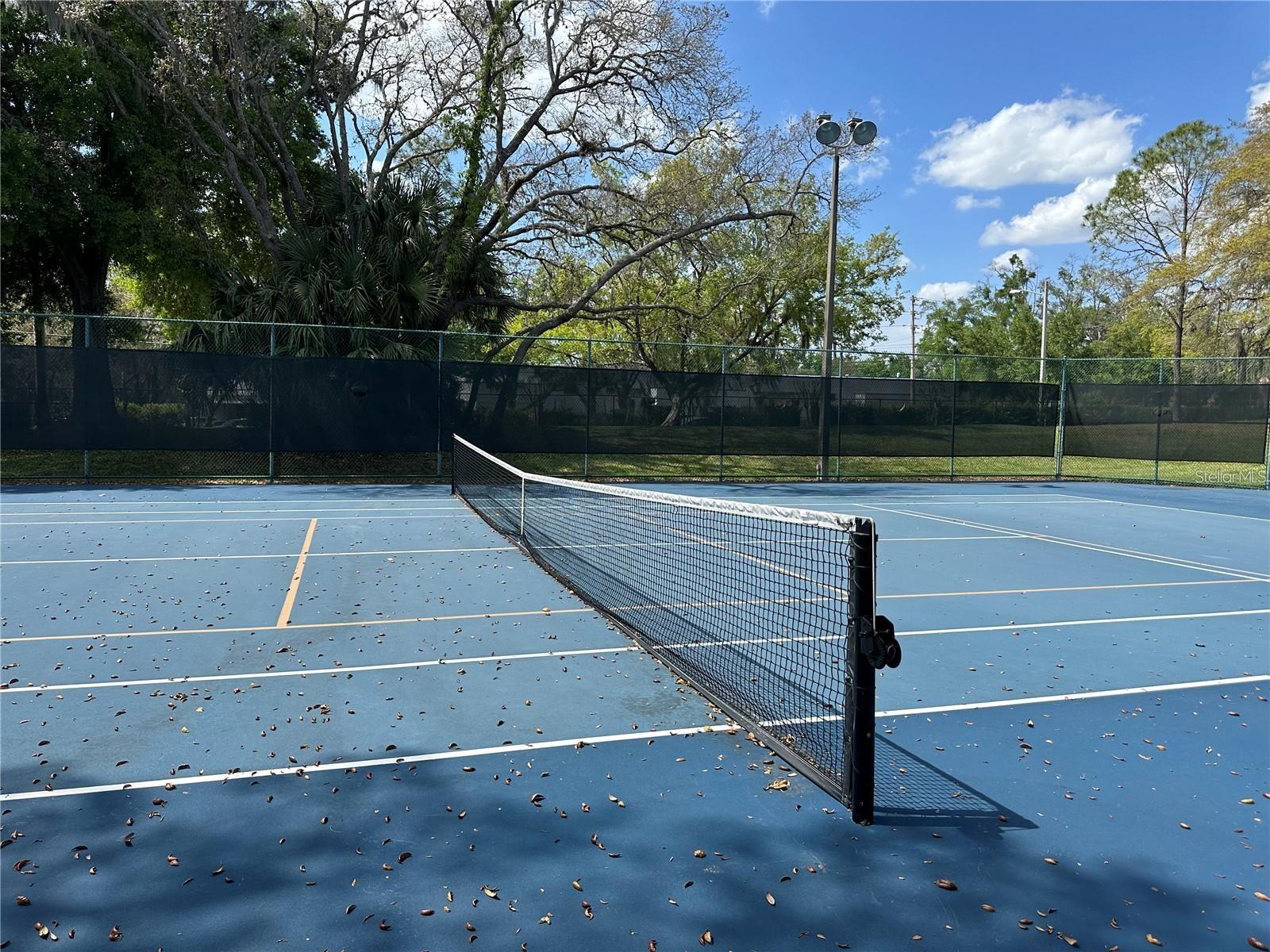 REGENCY PARK AT LAKE MARY A CONDO - Residential Lease