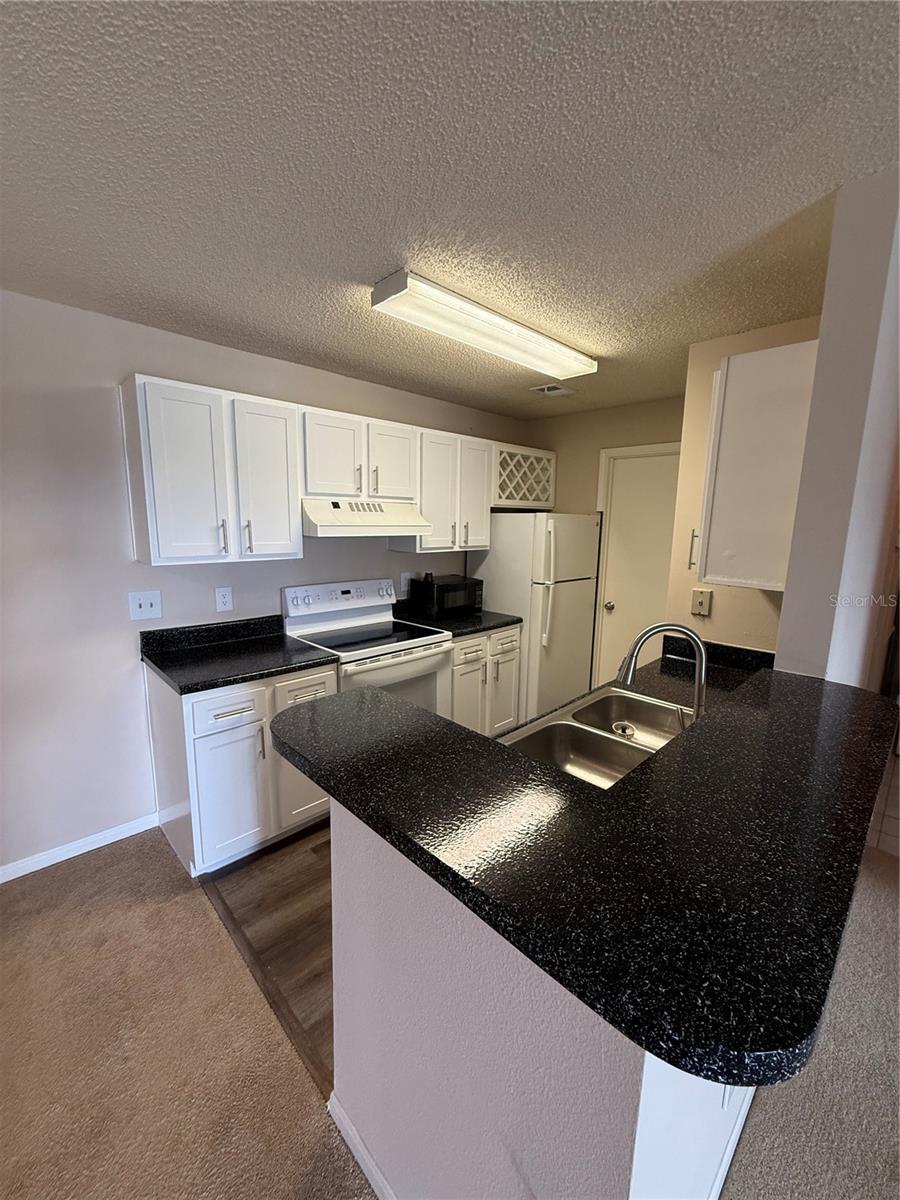 REGENCY PARK AT LAKE MARY A CONDO - Residential Lease