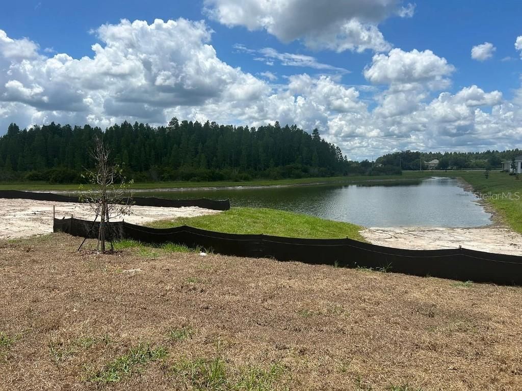 Photo of 32226 Eldorado Canyon Loop, Wesley Chapel, FL 33543 (MLS # W7878886)