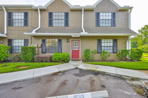 Photo of 16515 Lake Brigadoon Circle, Tampa, FL 33618 (MLS # TB8403521)