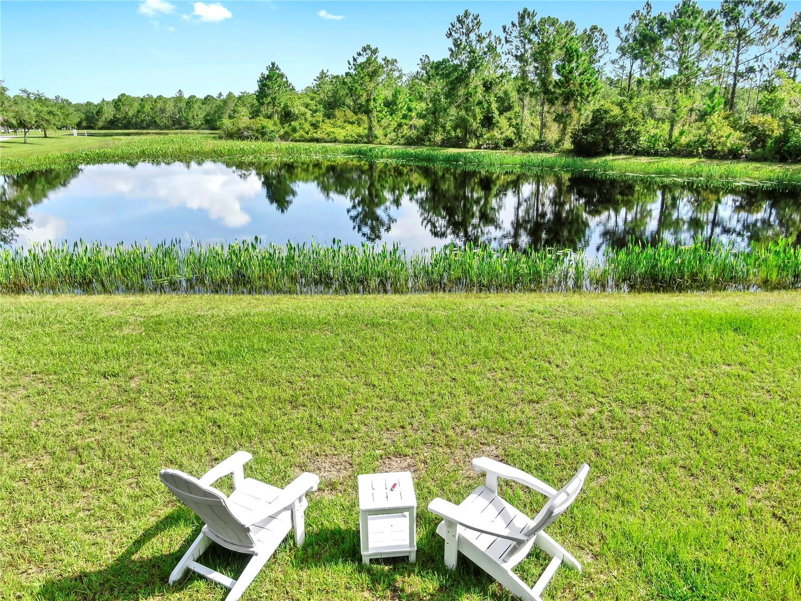 PRESERVE AT PANTHER RIDGE PH I - Residential