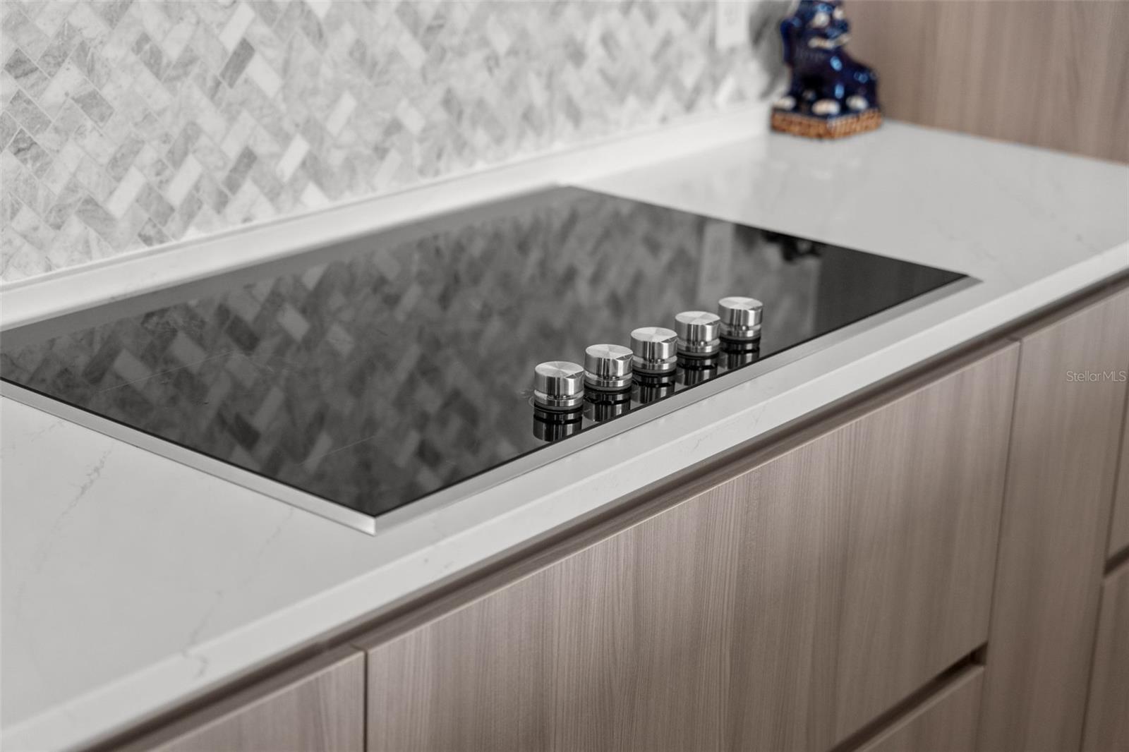 BAYSO SARASOTA CONDOMINIUM - Residential