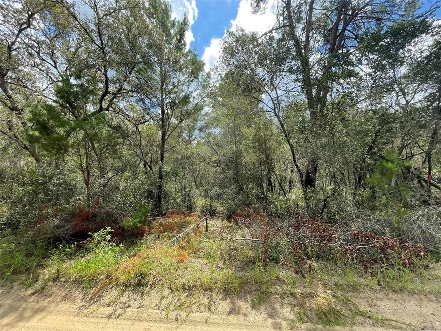 Where you can live in a world of your own! This 2 lot homesite is .63 acres and is situated on a quiet street in Inverness Village. Surrounded by plenty of raw, untouched land in a rural, country setting; wildlife abounds! The rear of the property backs to wide open acreage for peace and privacy from neighbors right behind. Lot has already been surveyed. Single Family Homes Only.  You would never know that all the conveniences a hometown has to offer is a hop, skip and jump away! Located within the city limits of Inverness, which serves as the county seat, it is just 10 minutes to Liberty Park and the public boat ramp for Henderson Lake & The Tsala Apopka Chain of Lakes. Enjoy boating, fishing, hiking and spending time outdoors. If you prefer the indoors, then Downtown Inverness is 2.5 miles away for restaurants, shopping and the Historic Valerie Theatre.