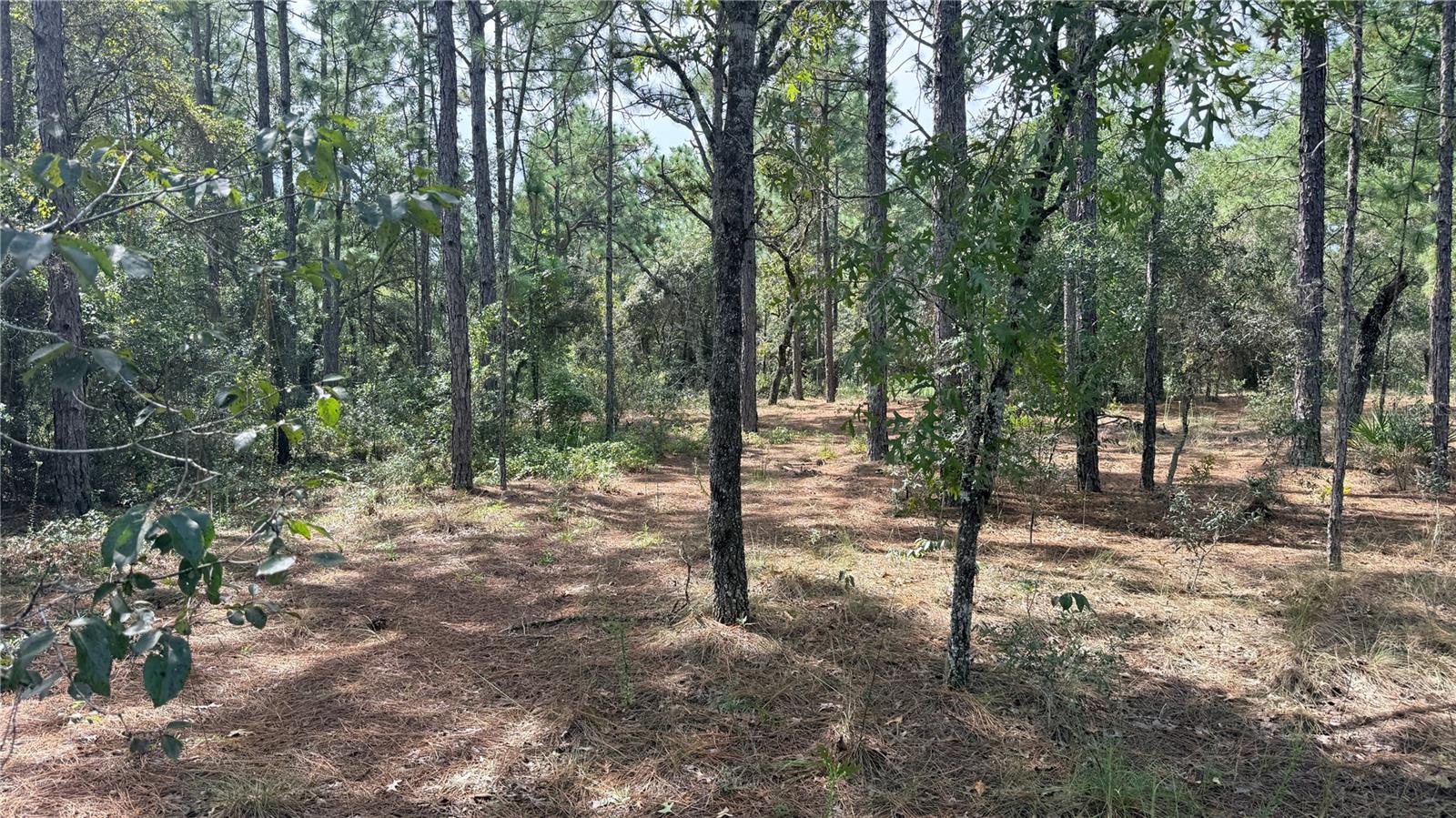 BOWMAN ROAD